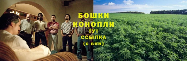 МДПВ Бронницы