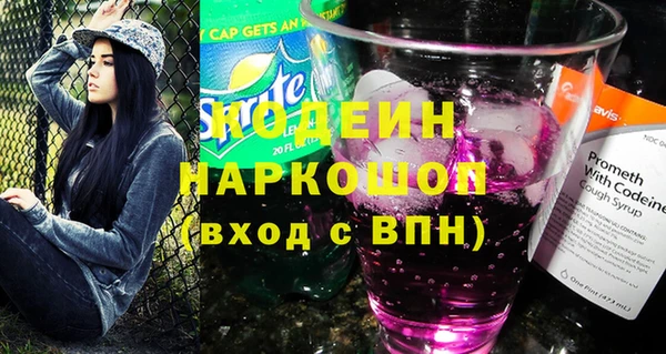 spice Бородино