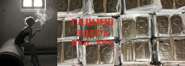 ПСИЛОЦИБИНОВЫЕ ГРИБЫ Богданович