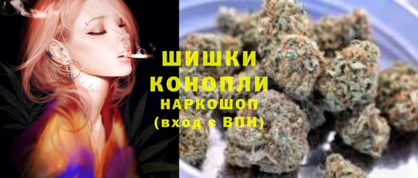 spice Бородино