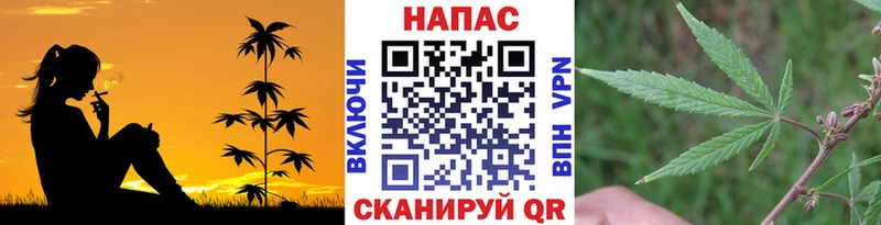 купить закладку  KRAKEN рабочий сайт  Бошки марихуана AK-47  Заринск 